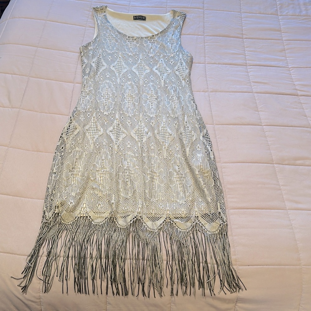 Venus beautiful fringed bottom silver with black party dress